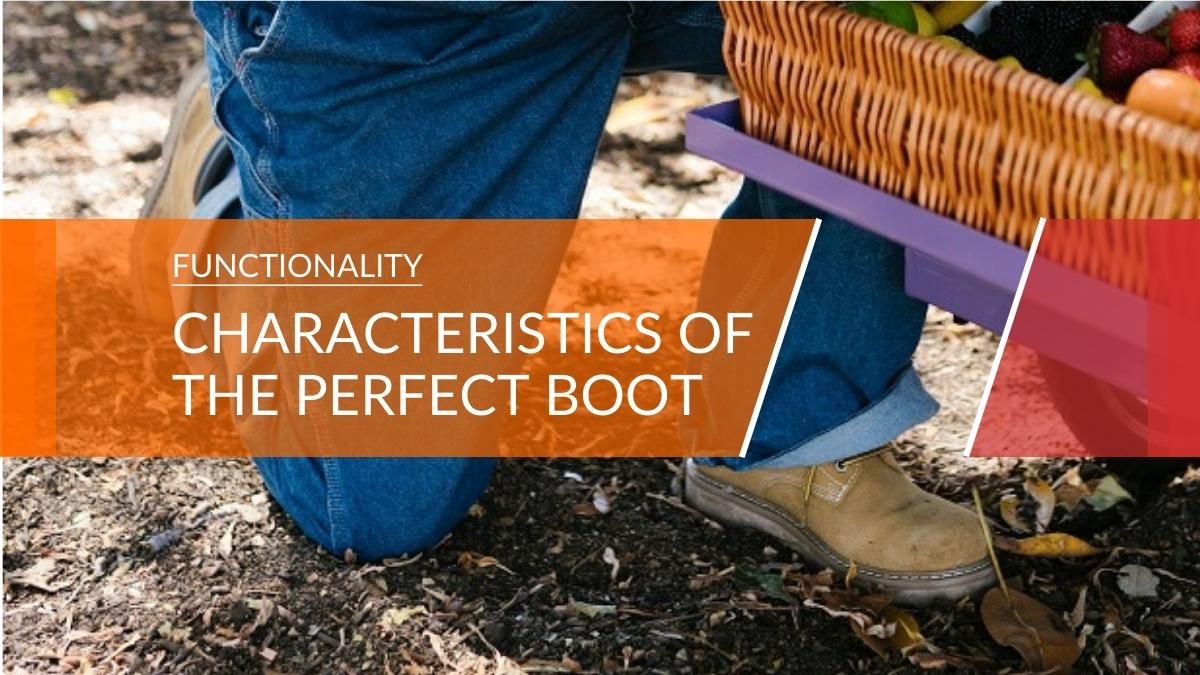 Characteristics of the Perfect Boot